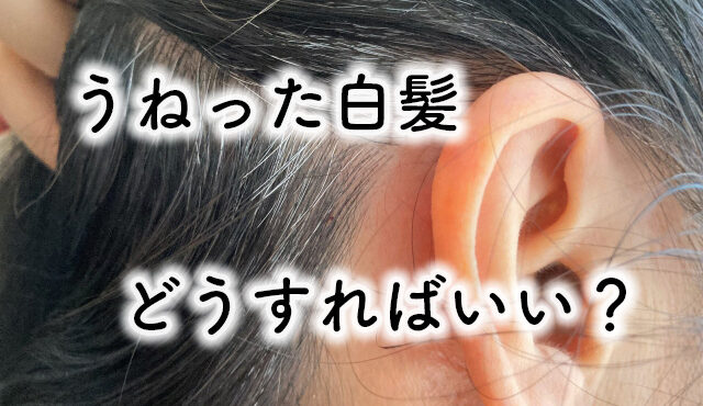【白髪のうねりを改善】原因と正しい対策を美容師が解説します