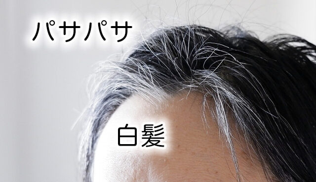 【白髪のパサパサが気になる】パサつきの原因と改善について美容師が解説